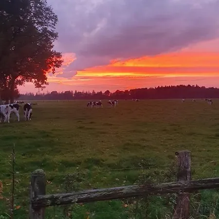 Grosse 30 Min Bis Hamburg Lejlighed