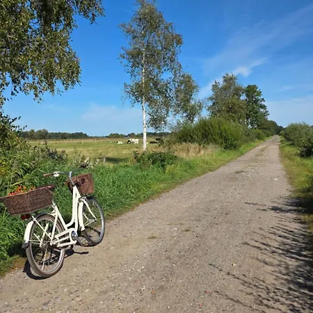 Lejlighed Grosse 30 Min Bis Hamburg *